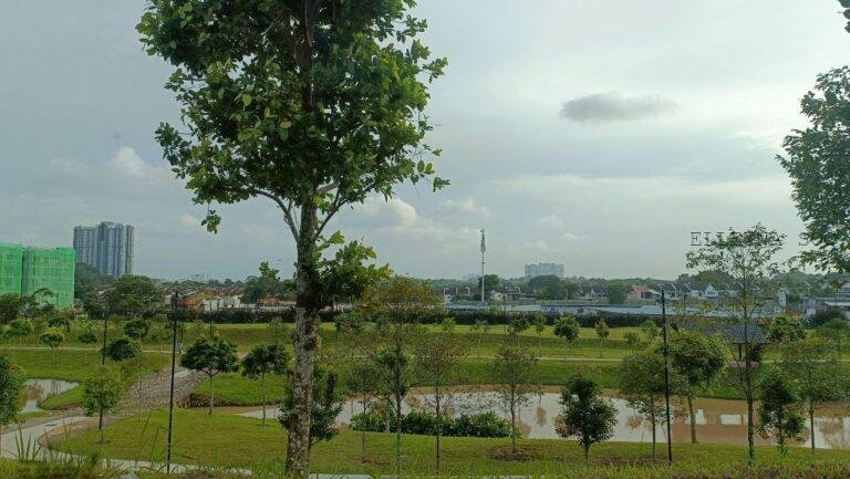 photo_2025-02-06_08-47-08