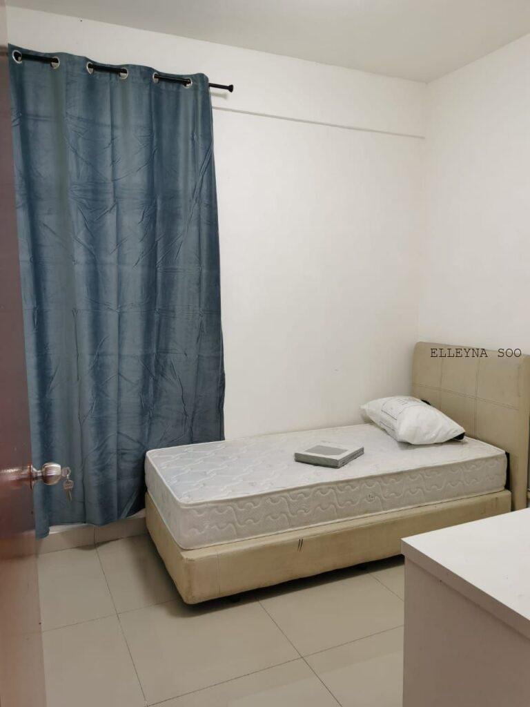 photo_2025-02-10_15-58-06