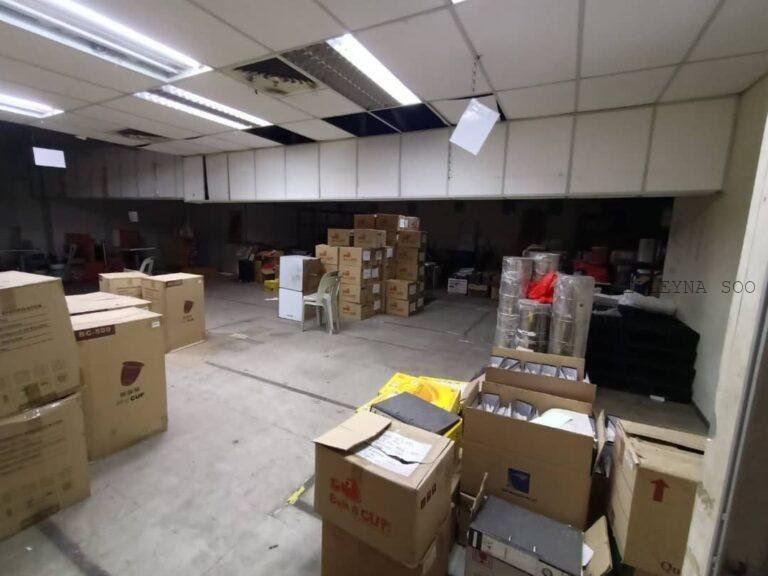 photo_2025-03-08_16-44-09