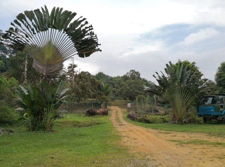 photo_2025-03-15_12-26-23