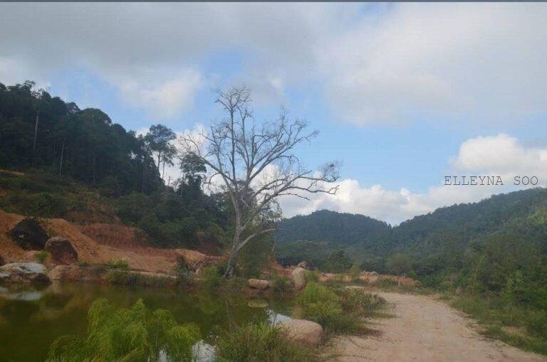 photo_2025-03-15_12-26-31