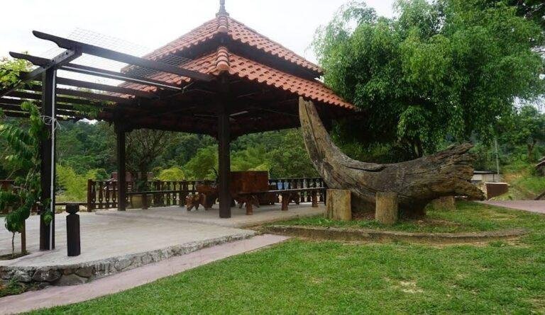 photo_2025-03-15_12-26-37