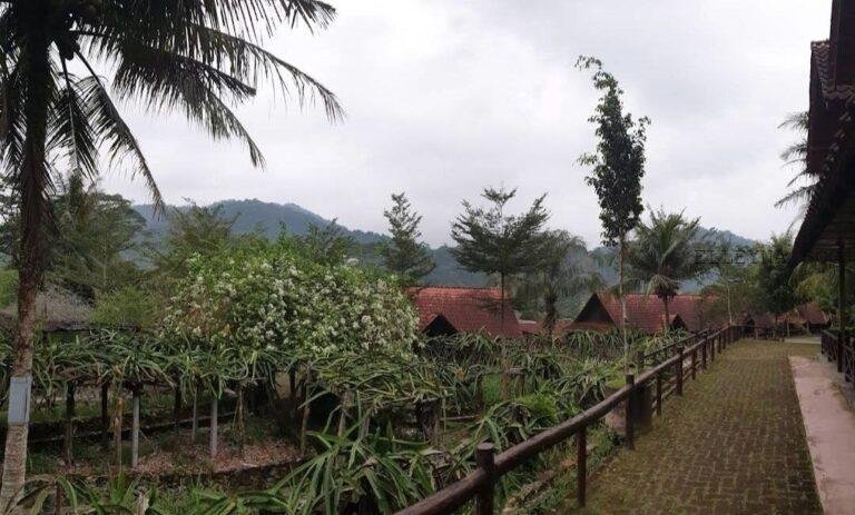 photo_2025-03-15_12-26-40