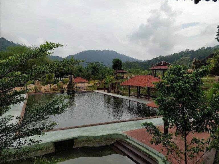 photo_2025-03-15_12-26-48