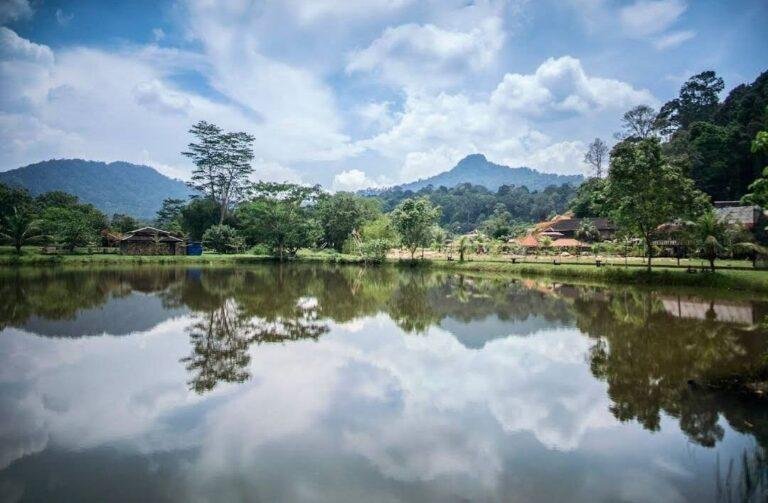 photo_2025-03-15_12-26-53