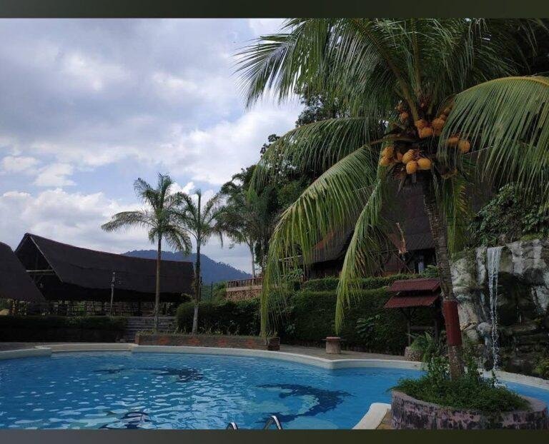 photo_2025-03-15_12-26-58