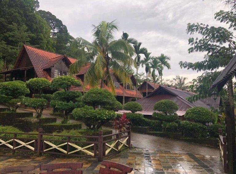 photo_2025-03-15_12-27-01