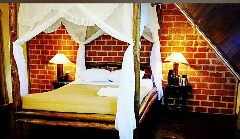 photo_2025-03-15_12-27-05