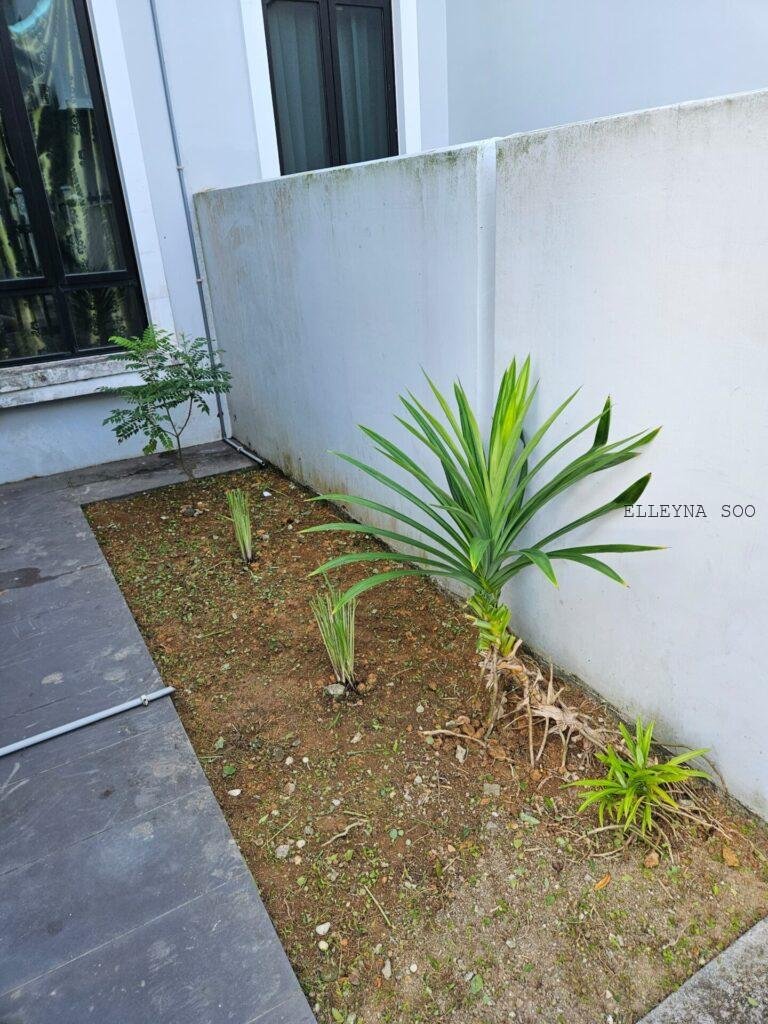 767fdd62-01fd-4fda-95cb-c0ccf4145aef