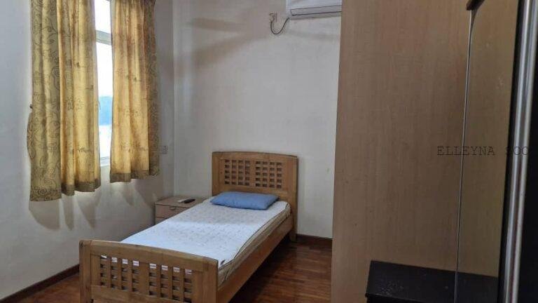 photo_2025-04-09_15-56-13