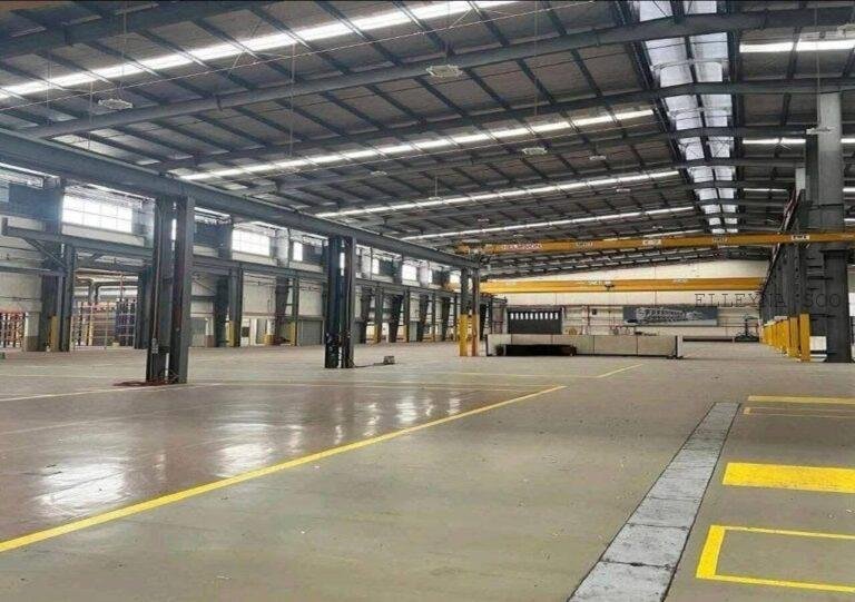 photo_2025-06-18 14.59.26