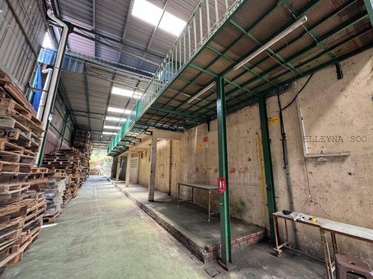 photo_2025-06-18 16.18.57