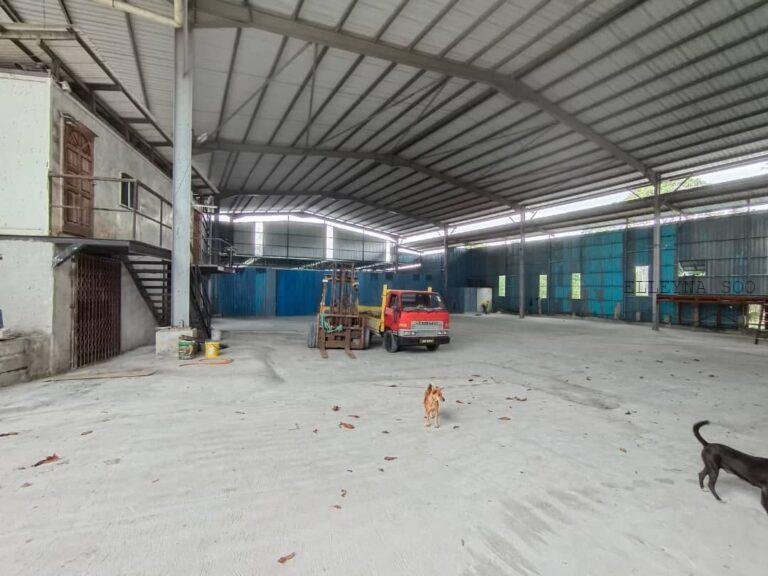 photo_2025-01-22_15-39-58 (6)