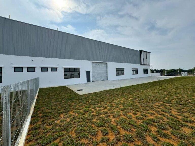 photo_2025-03-18_13-34-01