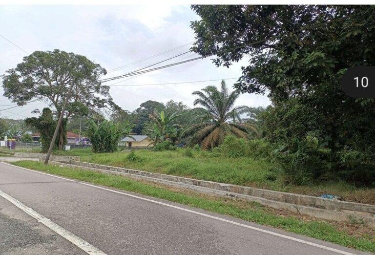 photo_2025-09-02_16-51-57