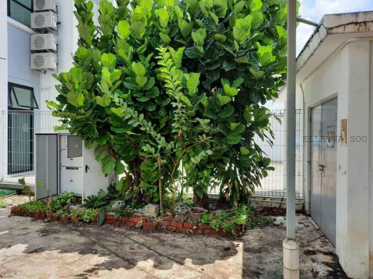 photo_2025-09-10_10-25-35