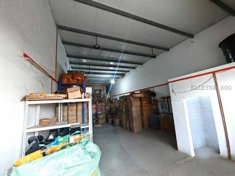 photo_2025-09-12_12-00-14 (6)