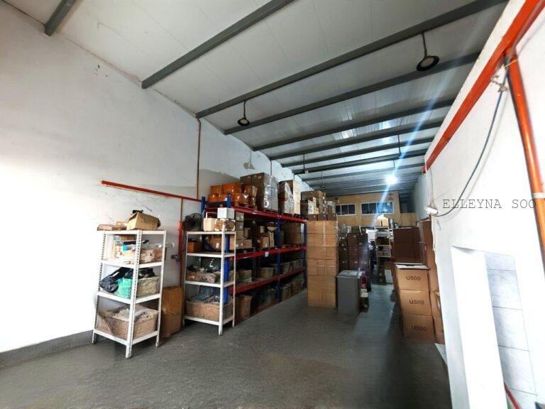 photo_2025-09-12_12-00-15