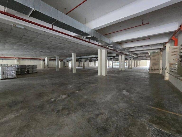 photo_2025-09-17_11-05-42