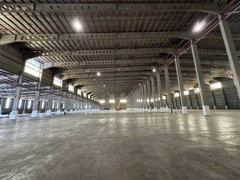 photo_2025-09-24_20-52-57 (4)