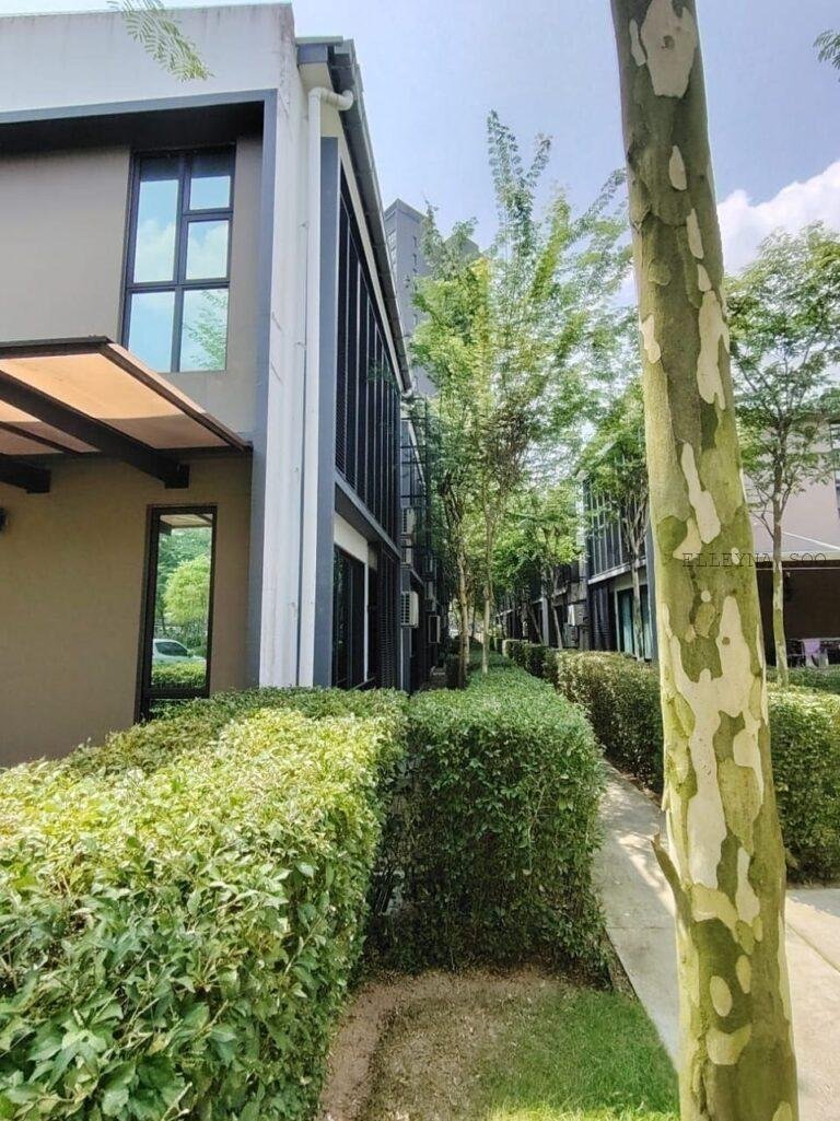 photo_2025-09-29_14-43-14 (2)