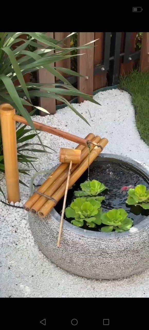 photo_2025-09-29_14-43-54 (2)