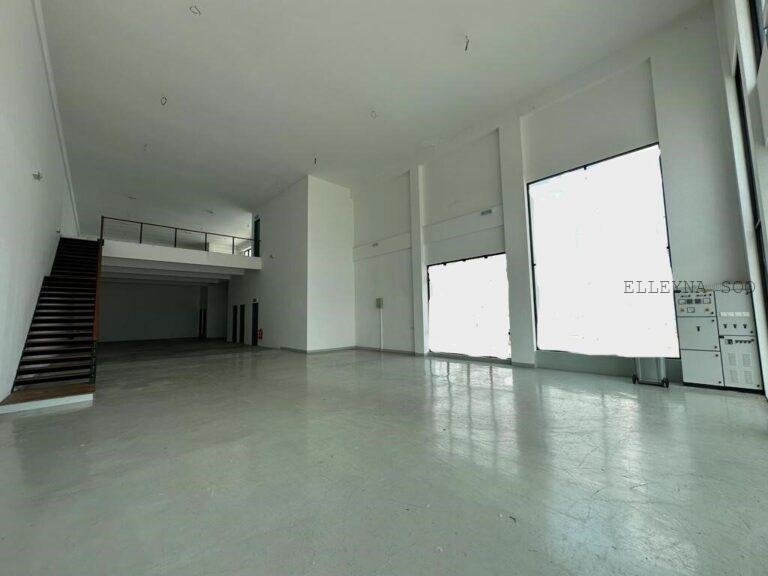 photo_2025-10-06_14-27-40