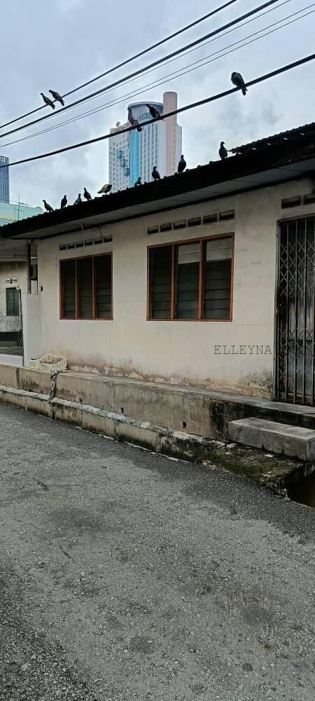 photo_2025-10-12_21-03-29 (4)