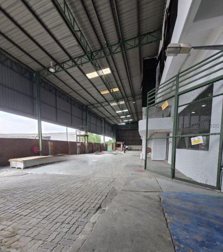 photo_2025-11-14_00-49-42 (2)