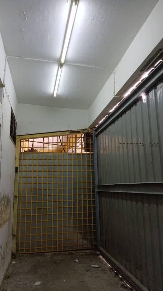 photo_2025-11-21_23-26-12 (4)