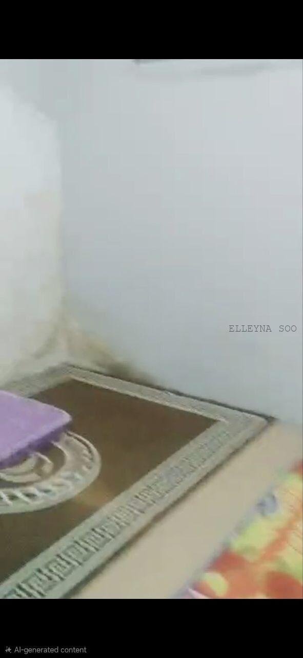 photo_2025-11-26_11-16-34 (2)