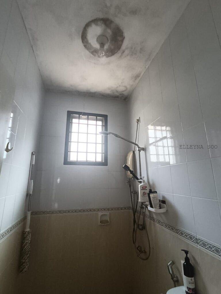 photo_2025-11-28_20-36-16 (6)