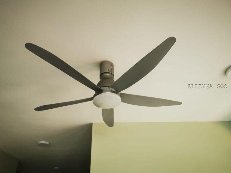 photo_2025-12-17_20-38-17 (4)