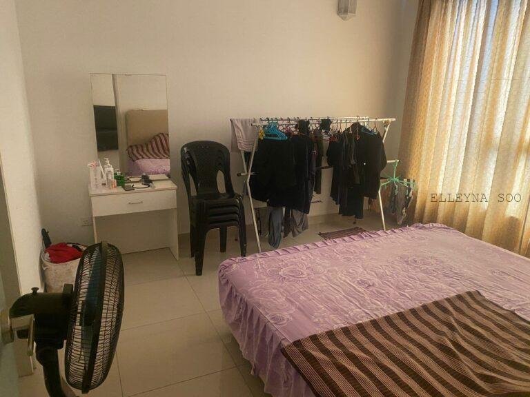 photo_2025-12-22_00-29-37 (2)