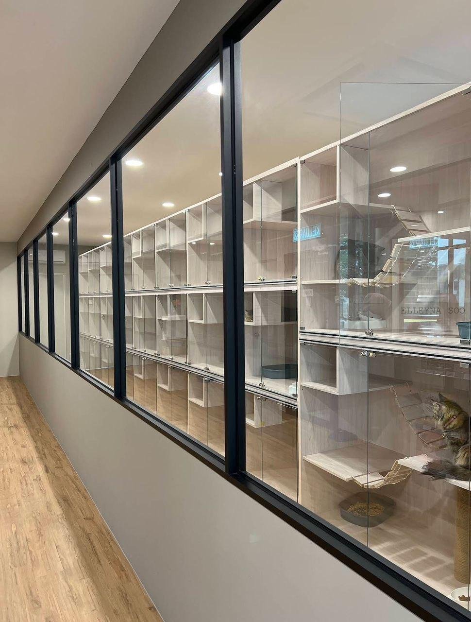 photo_2026-02-04 17.03.49