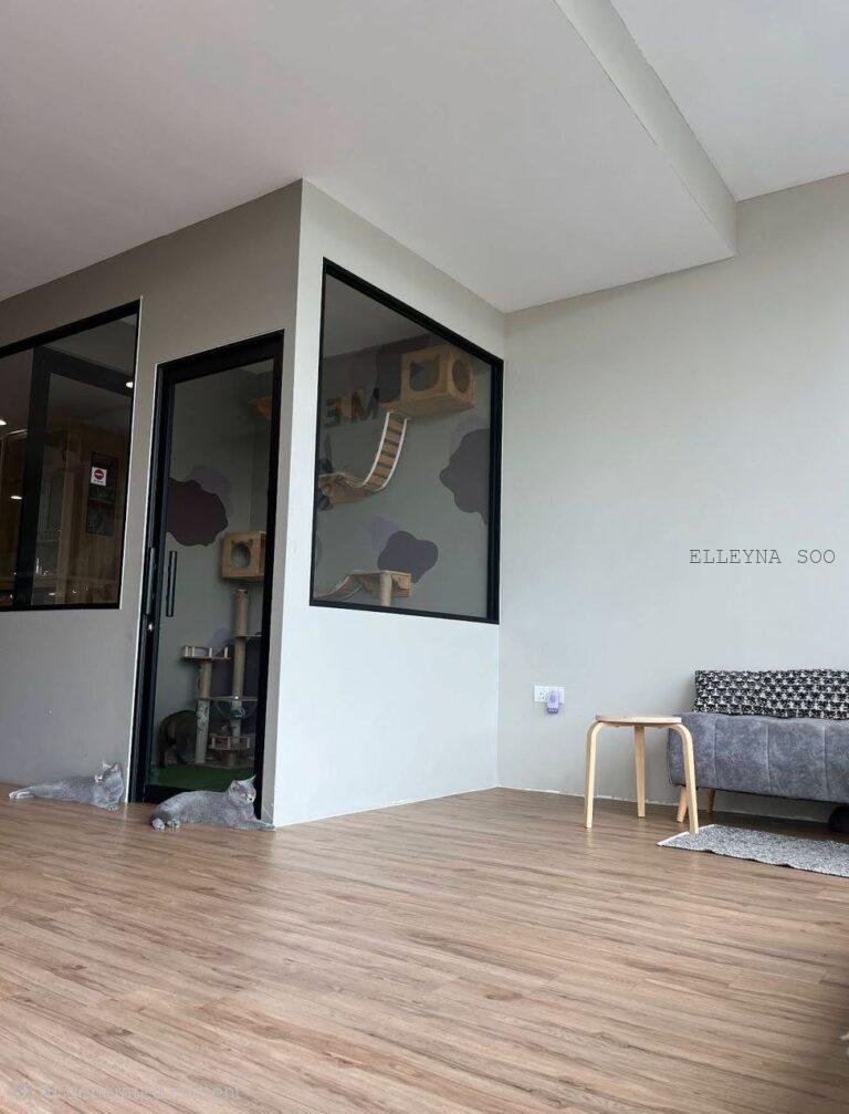 photo_2026-02-04 17.21.45