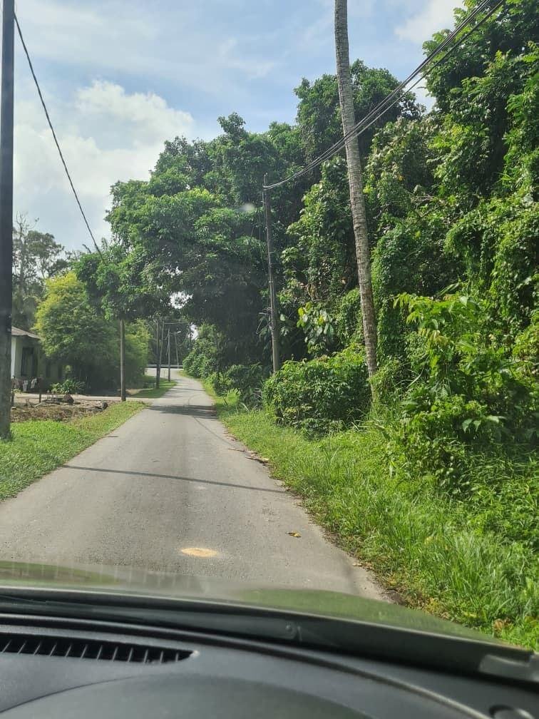 photo_2026-02-04 17.54.04