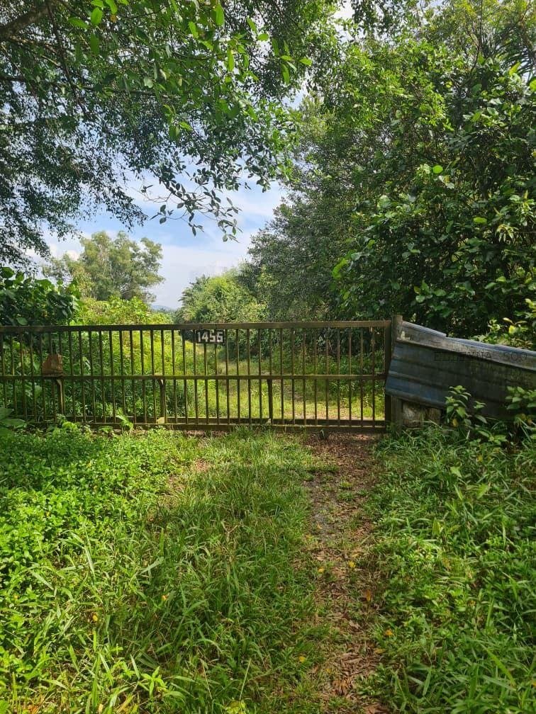 photo_2026-02-04 17.54.06