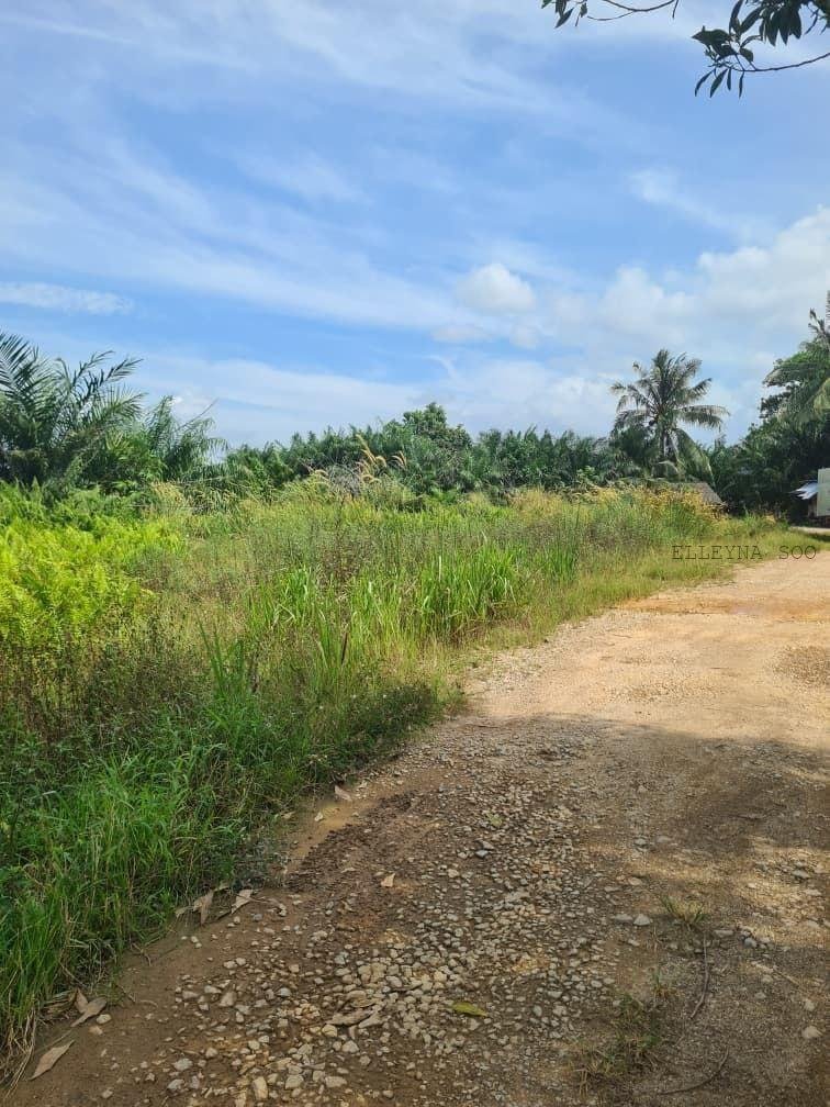 photo_2026-02-04 17.54.13